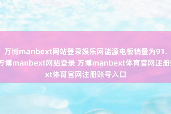 万博manbext网站登录娱乐网能源电板销量为91.1GWh-万博manbext网站登录 万博manbext体育官网注册账号入口