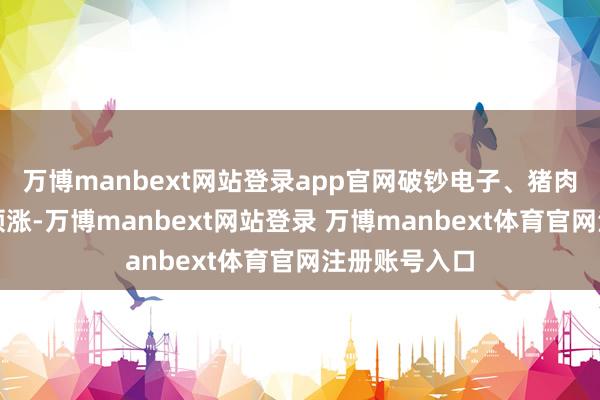万博manbext网站登录app官网破钞电子、猪肉、游戏板块领涨-万博manbext网站登录 万博manbext体育官网注册账号入口